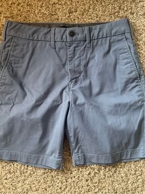 Express Men's Light Blue Flat Front Shorts